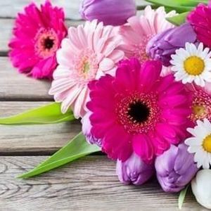 Meet your Posher, Robin